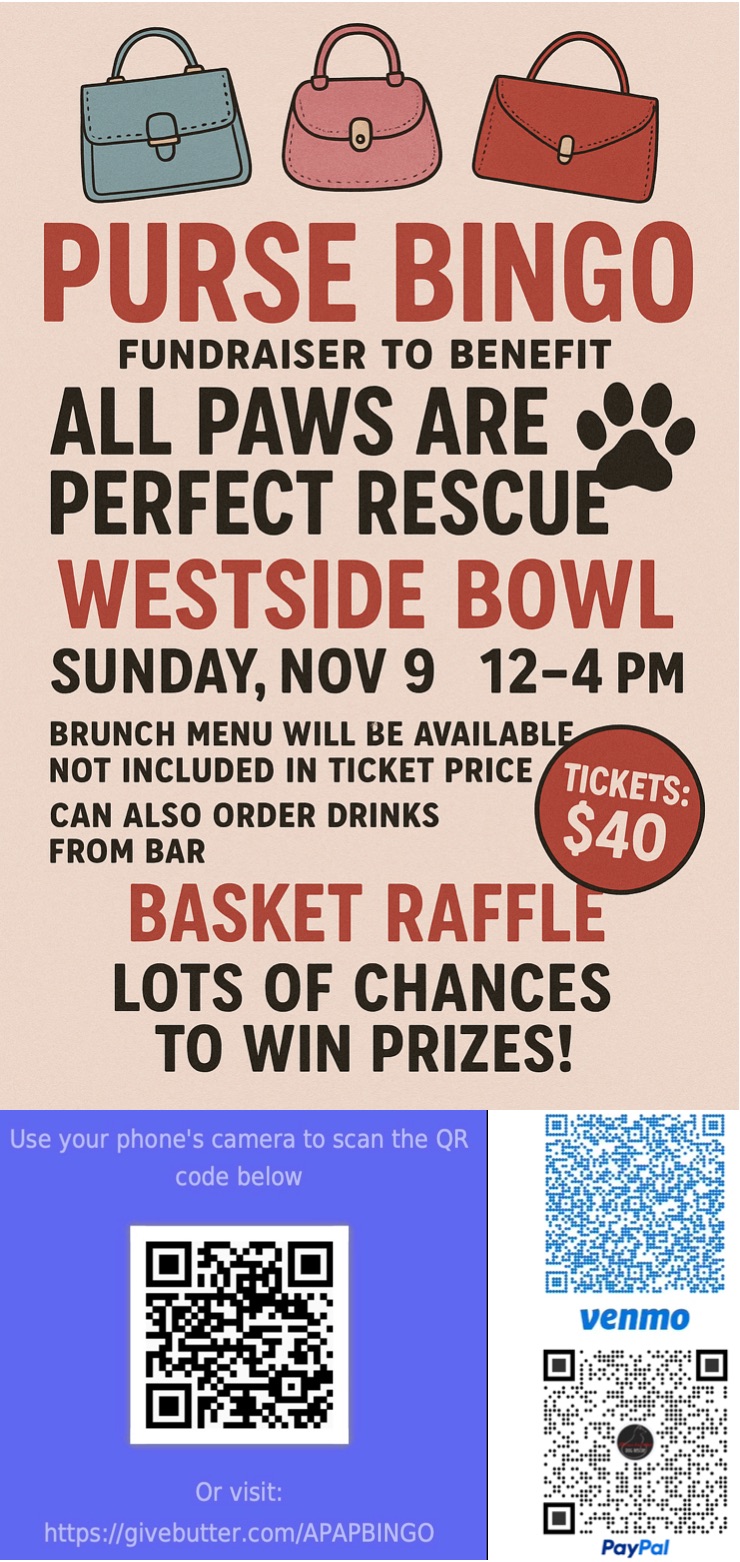 Purse Bingo Fundraiser